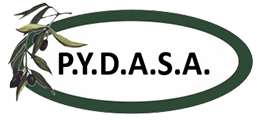 logo-pydasa